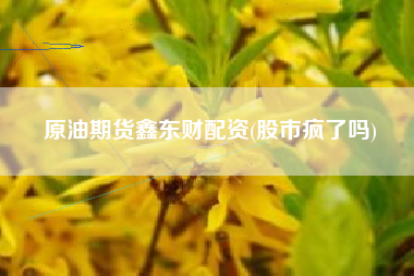 原油期货鑫东财配资(股市疯了吗)