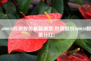 600010包钢股份最新消息(包钢股份600010股票分红)