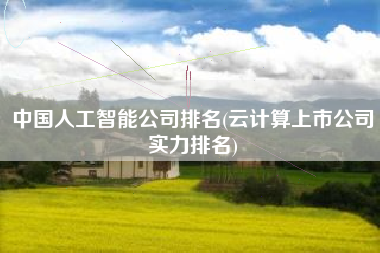 中国人工智能公司排名(云计算上市公司实力排名)