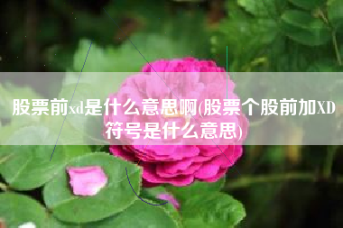 股票前xd是什么意思啊(股票个股前加XD符号是什么意思)