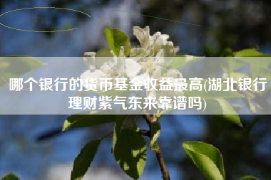 哪个银行的货币基金收益最高(湖北银行理财紫气东来靠谱吗)