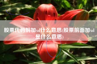 股票代码前加xd什么意思(股票前面加xd是什么意思)