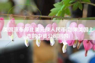 美国宣布停止美元换人民币(如果美国上市的中资公司回国)