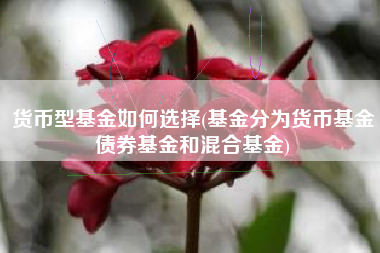货币型基金如何选择(基金分为货币基金债券基金和混合基金)