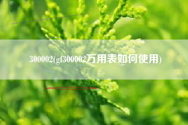 300002(gf300002万用表如何使用)