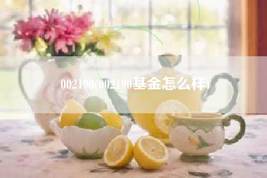 002190(002190基金怎么样)