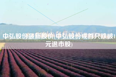 中弘股份最新股价(中弘股份成首只跌破1元退市股)
