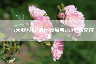 600807天业股份(诺远债盈宝2020年会兑付吗)