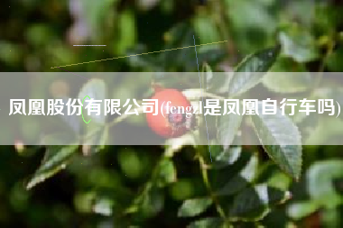 凤凰股份有限公司(fengzl是凤凰自行车吗)