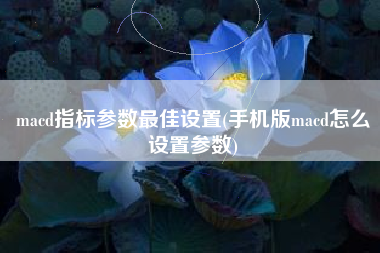 macd指标参数最佳设置(手机版macd怎么设置参数)