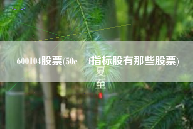 600104股票(50e丅f指标股有那些股票)