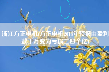 浙江方正电机(方正电机2018年预报由盈利数千万变为亏损三四个亿)