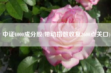 中证1000成分股(带动指数收复2600点关口)