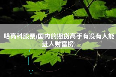 哈高科股票(国内的期货高手有没有人能进入财富榜)