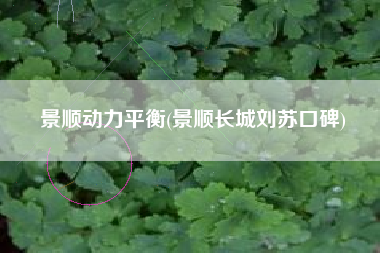 景顺动力平衡(景顺长城刘苏口碑)