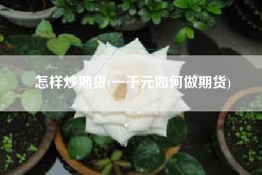 怎样炒期货(一千元如何做期货)