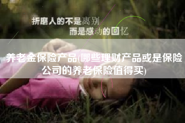 养老金保险产品(哪些理财产品或是保险公司的养老保险值得买)