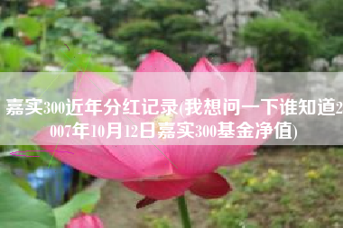 嘉实300近年分红记录(我想问一下谁知道2007年10月12日嘉实300基金净值)