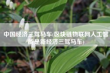 中国经济三驾马车(区块链物联网人工智能是新经济三驾马车)