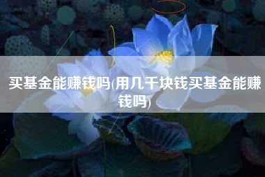 买基金能赚钱吗(用几千块钱买基金能赚钱吗)