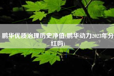 鹏华优质治理历史净值(鹏华动力2023年分红吗)