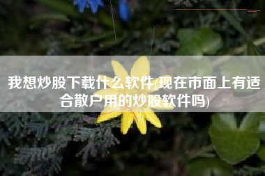 我想炒股下载什么软件(现在市面上有适合散户用的炒股软件吗)