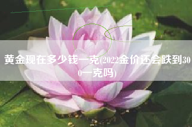 黄金现在多少钱一克(2022金价还会跌到300一克吗)
