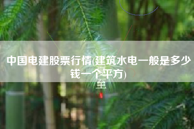 中国电建股票行情(建筑水电一般是多少钱一个平方)