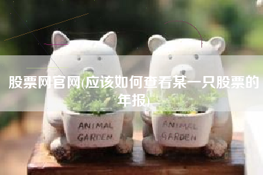 股票网官网(应该如何查看某一只股票的年报)