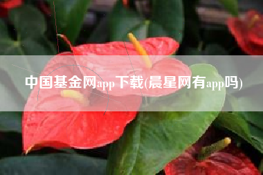 中国基金网app下载(晨星网有app吗)