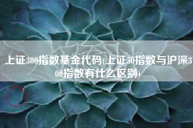 上证300指数基金代码(上证50指数与沪深300指数有什么区别)