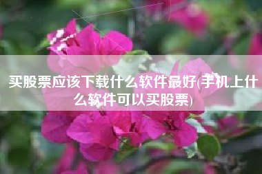 买股票应该下载什么软件最好(手机上什么软件可以买股票)