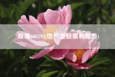 股票600393(地产类股票有哪些)