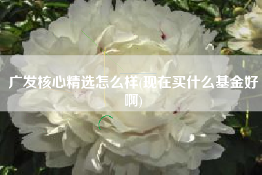 广发核心精选怎么样(现在买什么基金好啊)