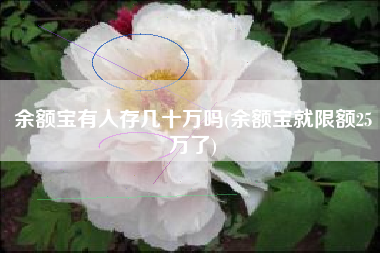 余额宝有人存几十万吗(余额宝就限额25万了)