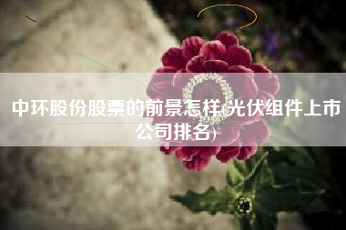 中环股份股票的前景怎样(光伏组件上市公司排名)