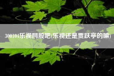 300104乐视网股吧(乐视还是贾跃亭的嘛)