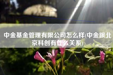 中金基金管理有限公司怎么样(中金跟北京科创有什么关系)