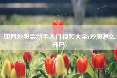 如何炒股票新手入门视频大全(炒股怎么开户)