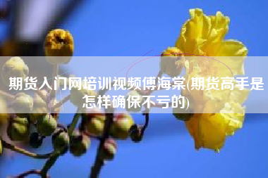 期货入门网培训视频傅海棠(期货高手是怎样确保不亏的)