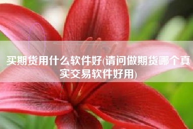买期货用什么软件好(请问做期货哪个真实交易软件好用)
