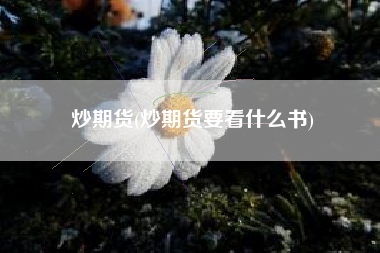 炒期货(炒期货要看什么书)