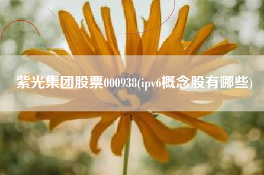紫光集团股票000938(ipv6概念股有哪些)