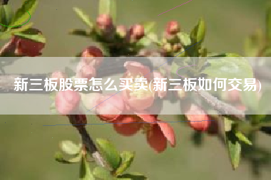 新三板股票怎么买卖(新三板如何交易)