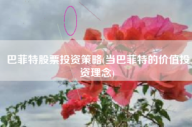 巴菲特股票投资策略(当巴菲特的价值投资理念)