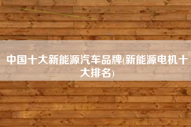 中国十大新能源汽车品牌(新能源电机十大排名)