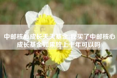 中邮核心成长天天基金(我买了中邮核心成长基金如果放上十年可以吗)