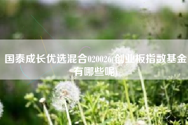 国泰成长优选混合020026(创业板指数基金有哪些呢)