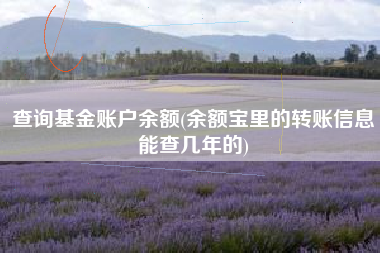 查询基金账户余额(余额宝里的转账信息能查几年的)