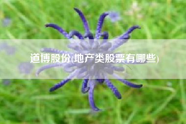 道博股份(地产类股票有哪些)